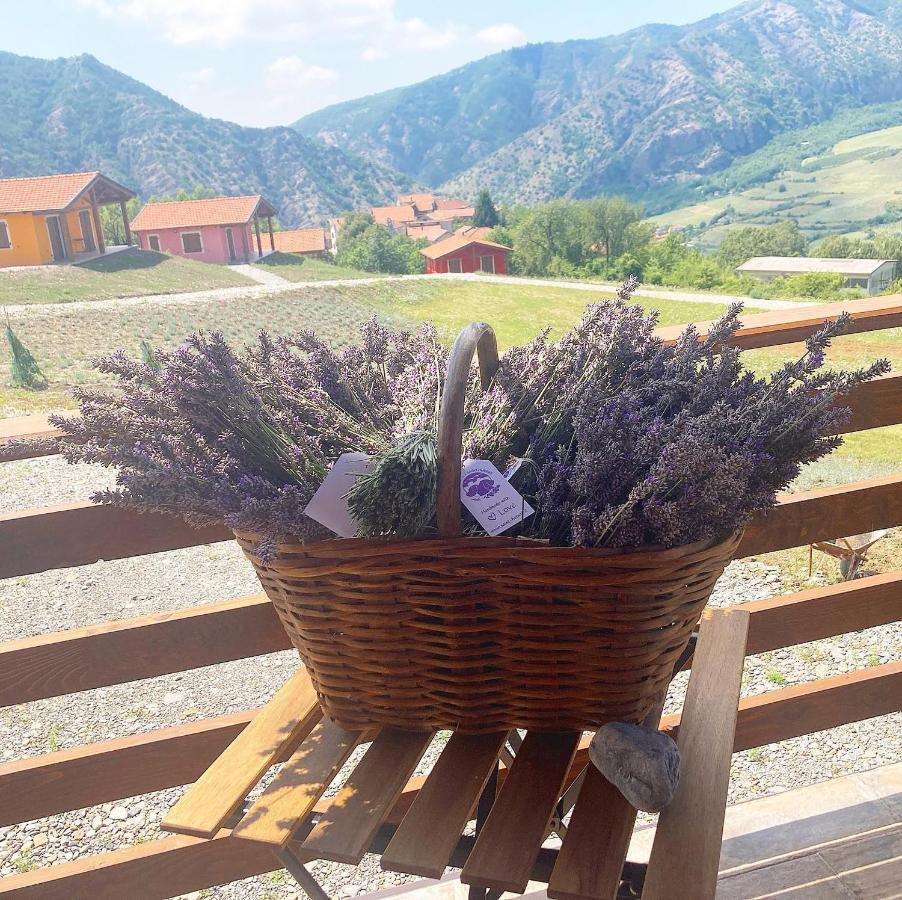 Azienda Agricola Saint Hubert Cantalupo Ligure Εξωτερικό φωτογραφία