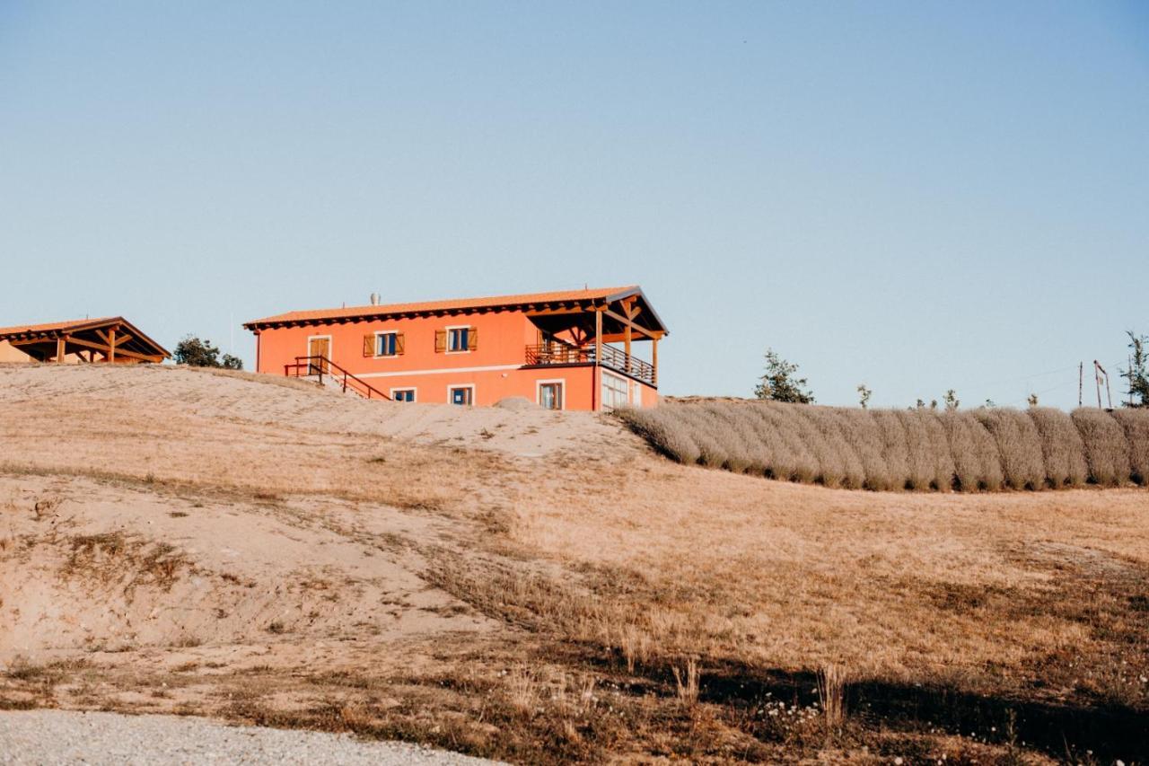 Azienda Agricola Saint Hubert Cantalupo Ligure Εξωτερικό φωτογραφία